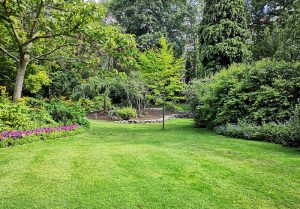 Optimiser l'expérience du jardin à Monleon-Magnoac